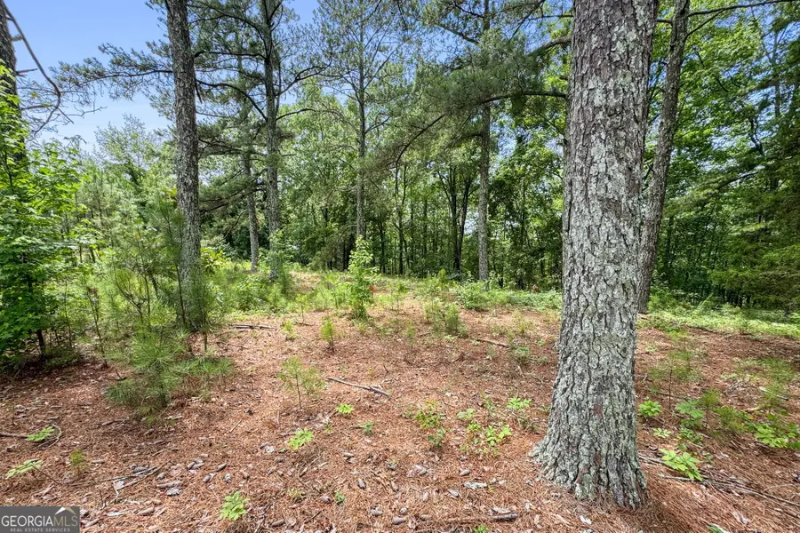 0 Firetower Road, Thomaston, GA 30286 - Image #2