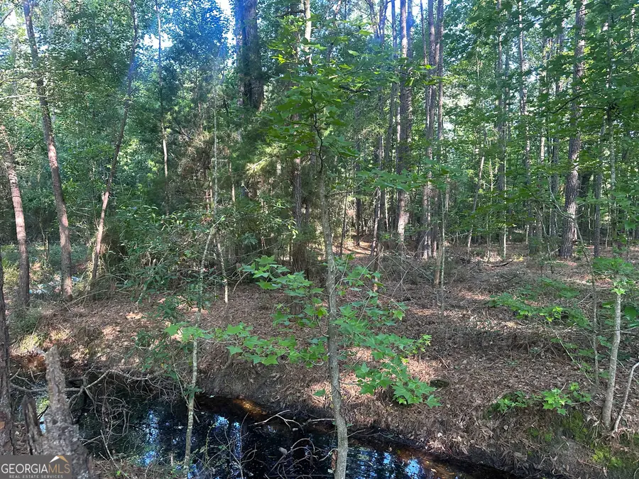 0 Burtons Ferry Highway, Sylvania, GA 30467 - Image #2