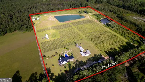 1054 Penny Morris Road, Baxley, GA 31513