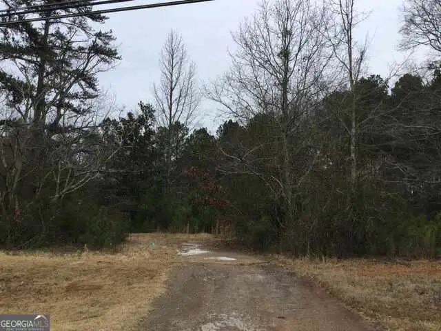 3771 Highway 34 #TRACT2, Sharpsburg, GA 30277 - Image #2