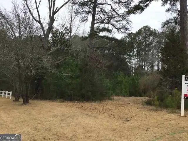 3771 Highway 34 #TRACT2, Sharpsburg, GA 30277 - Image #3