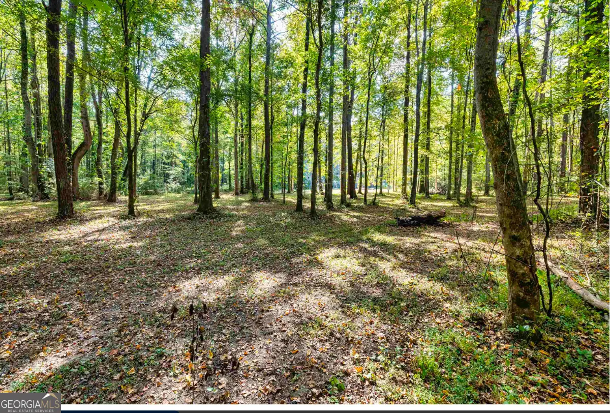 1978 Luther Bailey Road, Senoia, GA 30276 - Image #1