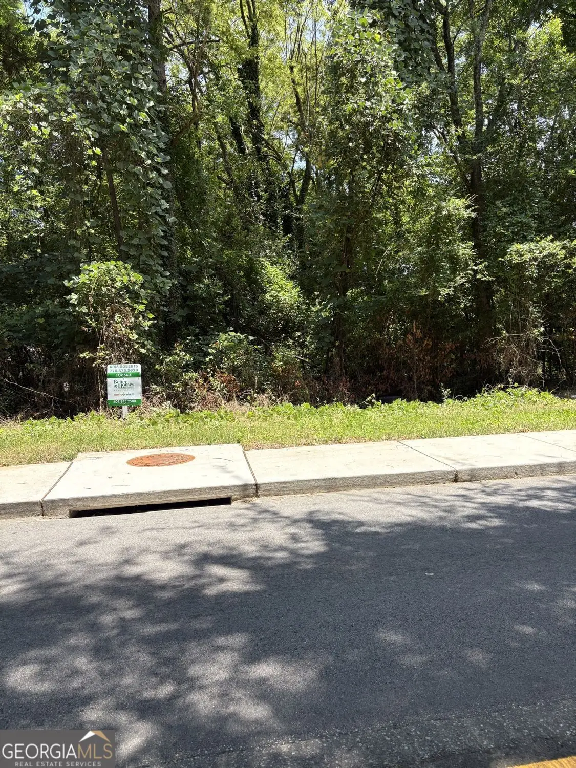 3220 Hollingsworth Road, Macon, GA 31210 - Image #1