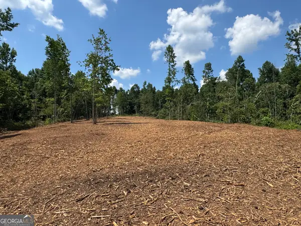 LOT 4 Happy Hollow Road, Roopville, GA 30170