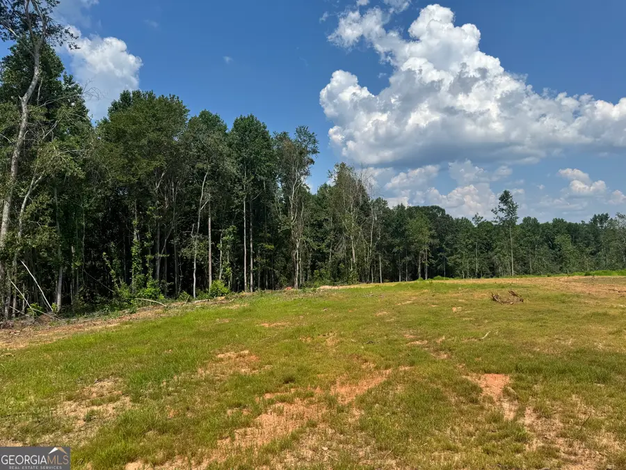 LOT 4 Happy Hollow Road, Roopville, GA 30170 - Image #3