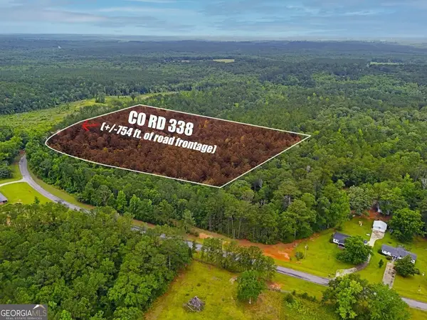 0 County Road 338, Elba, AL 36323