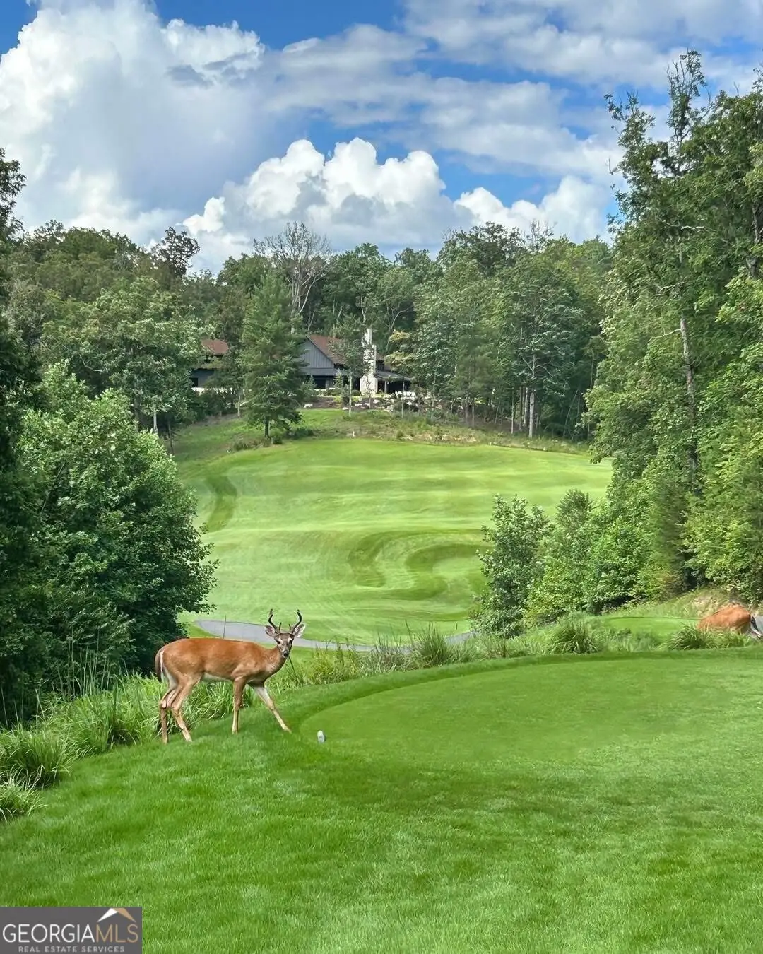 LOT 144 Hickory Way, Mineral Bluff, GA 30559 - Image #1