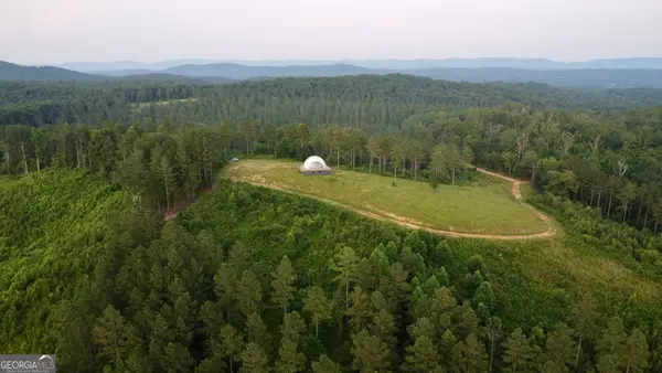 596 Dupree Road, Summerville, GA 30747