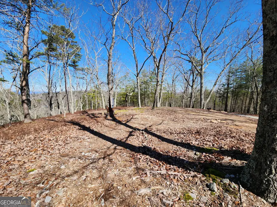 0 Nichols Cove Drive, Dawsonville, GA 30534 - Image #2