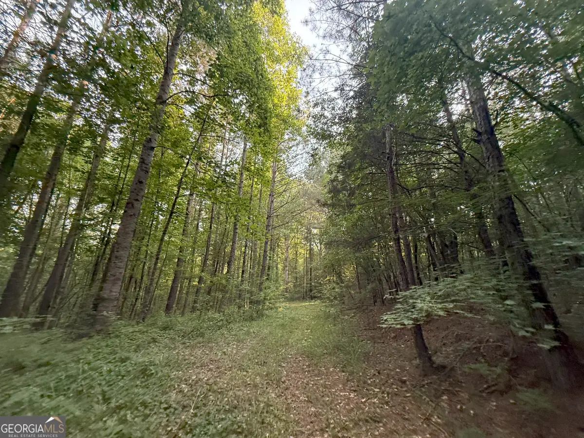 5 Watsons Mill Road, Comer, GA 30629 - Image #1