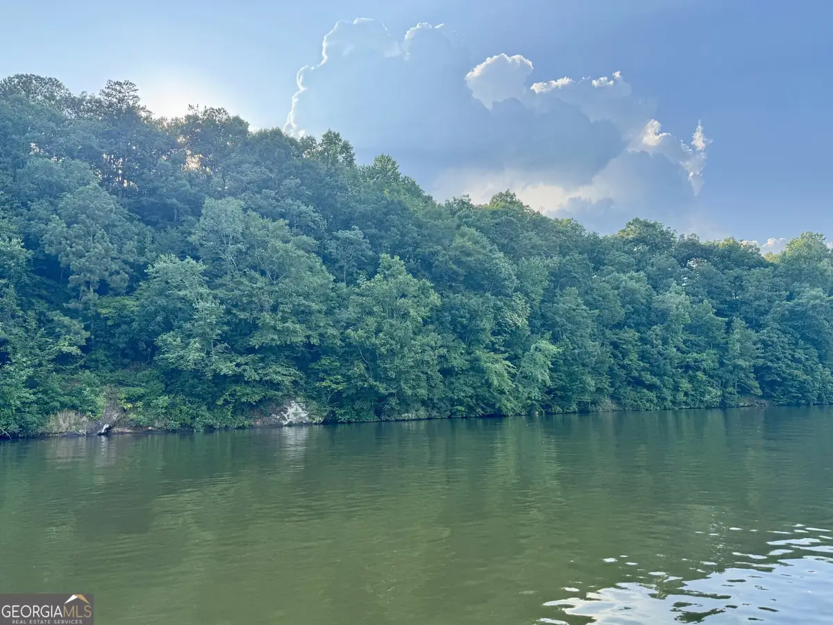 LOTS 90 & 91B Wright Way Drive, Wedowee, AL 36278 - Image #1