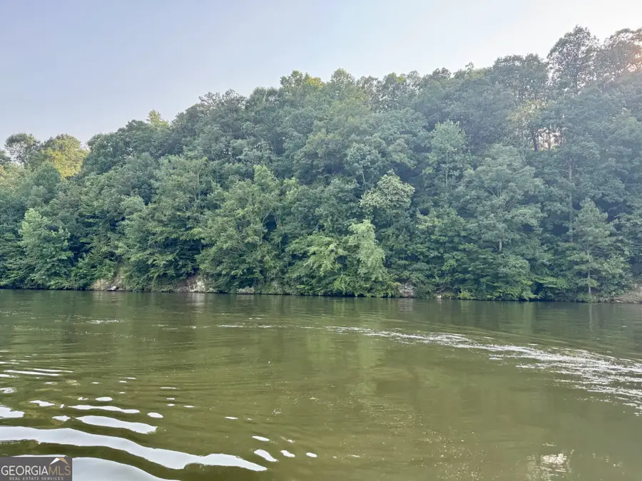 LOTS 90 & 91B Wright Way Drive, Wedowee, AL 36278 - Image #2