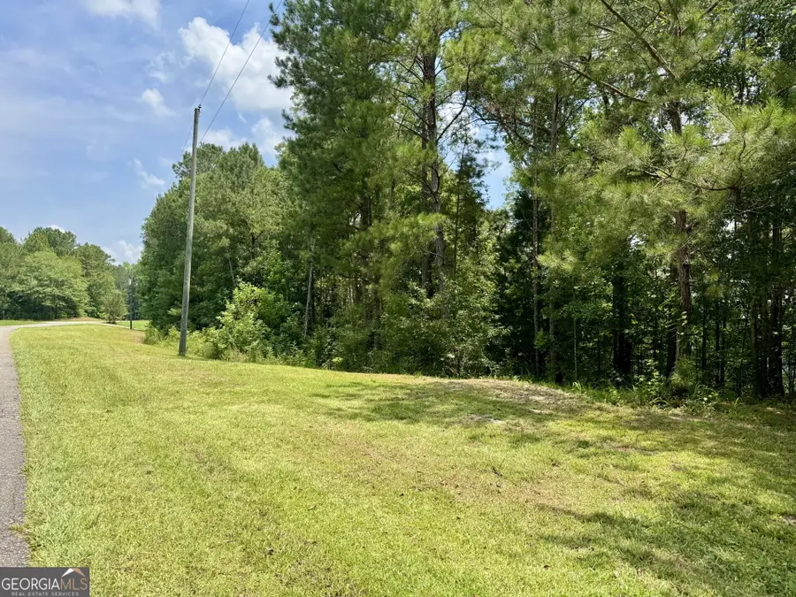 LOTS 90 & 91B Wright Way Drive, Wedowee, AL 36278 - Image #3