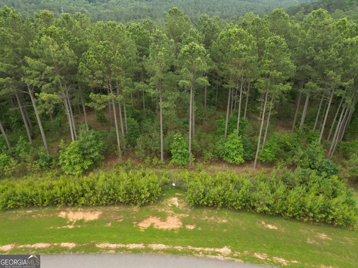 LOT 148 Stables Loop, Blairsville, GA 30512 - #1