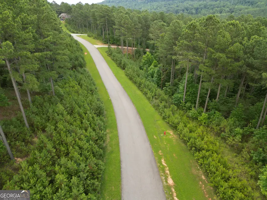 LOT 148 Stables Loop, Blairsville, GA 30512 - #3