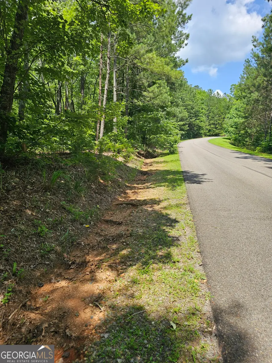 0 Harris Ridge Drive, Ellijay, GA 30540 - #3