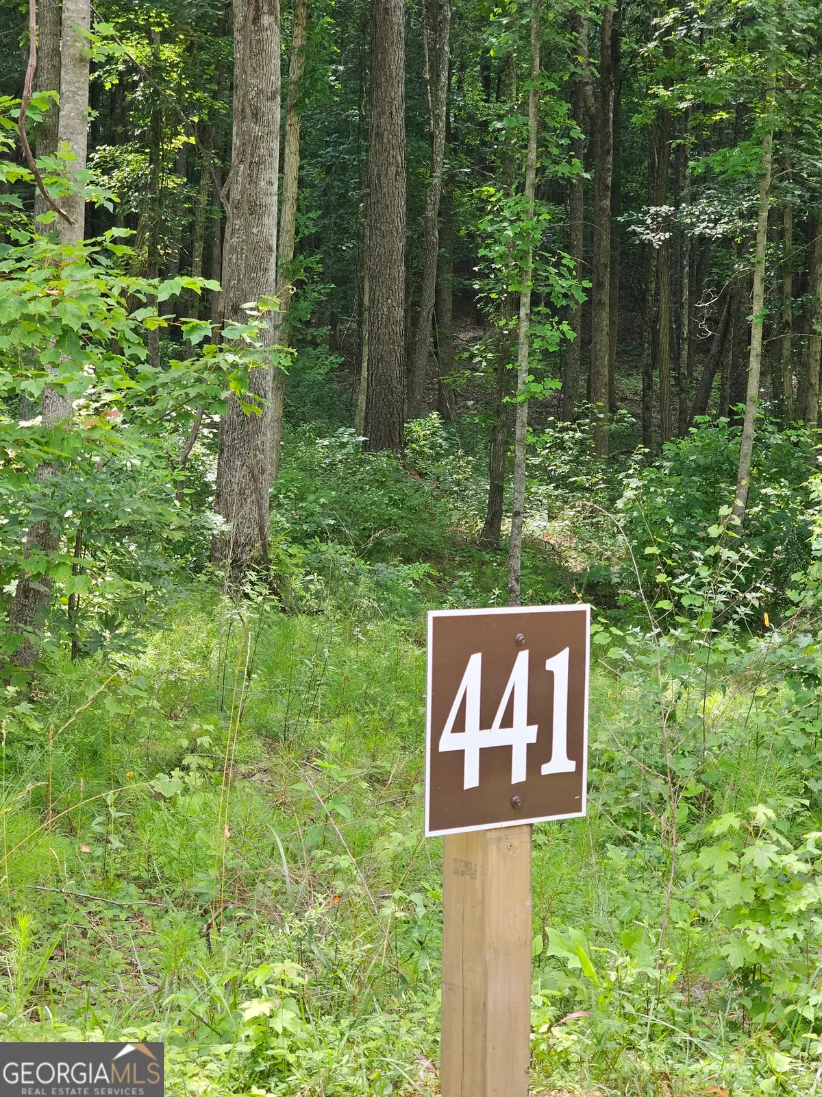 0 Twisted Oak Road, Talking Rock, GA 30175 - Image #1