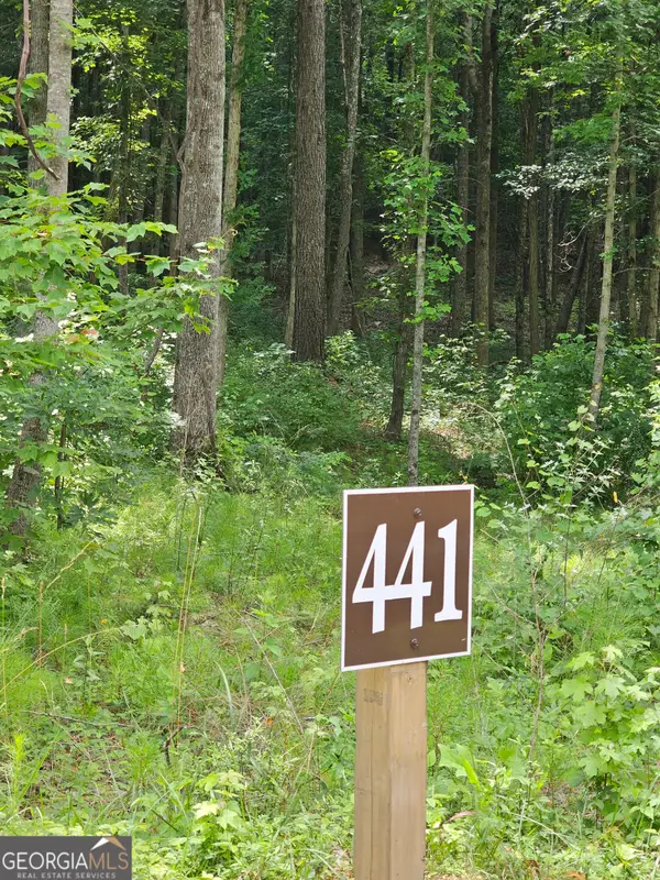 0 Twisted Oak Road, Talking Rock, GA 30175