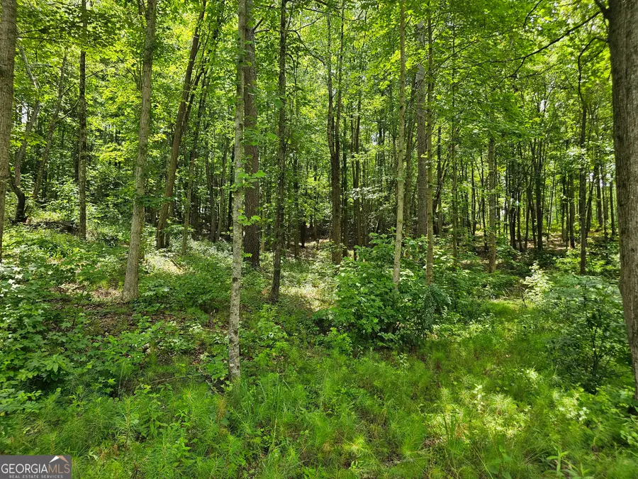 0 Twisted Oak Road, Talking Rock, GA 30175 - Image #3