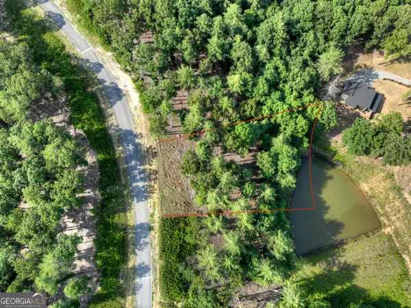 190 Split Creek, Morganton, GA 30560