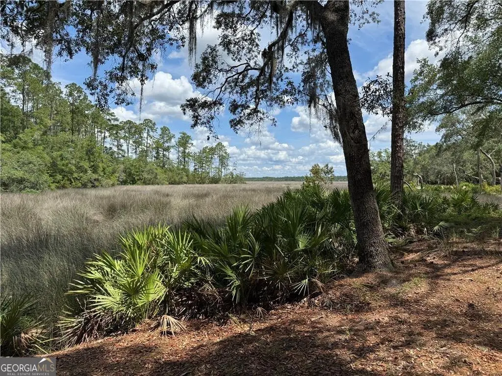 LOT 20-C River Place Drive, Waverly, GA 31565 - Image #1