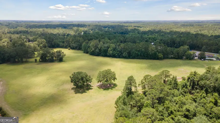 35+ ACRES Wells Road, Hinesville, GA 31313 - #2