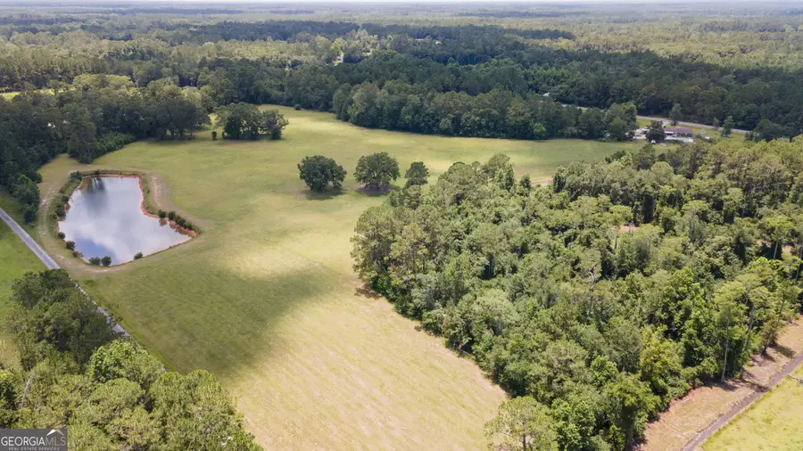 35+ ACRES Wells Road, Hinesville, GA 31313 - #3
