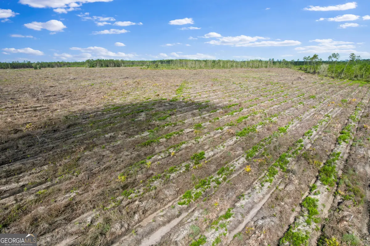 TRACT 3 Morris Break Road, Odum, GA 31555 - Image #1