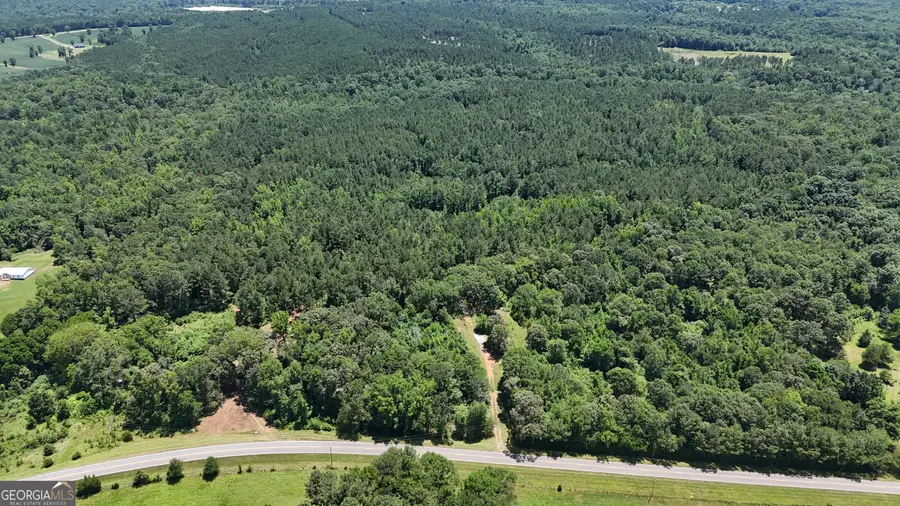 6 Watsons Mill Road, Comer, GA 30629 - Image #3