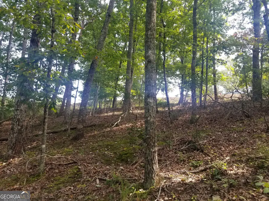 0 Whippoorwill Terrace, Alto, GA 30510 - Image #3