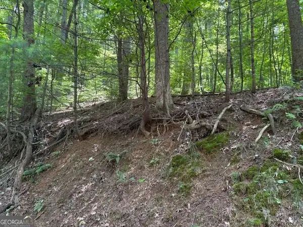 0 Mountain View Court, Ellijay, GA 30536