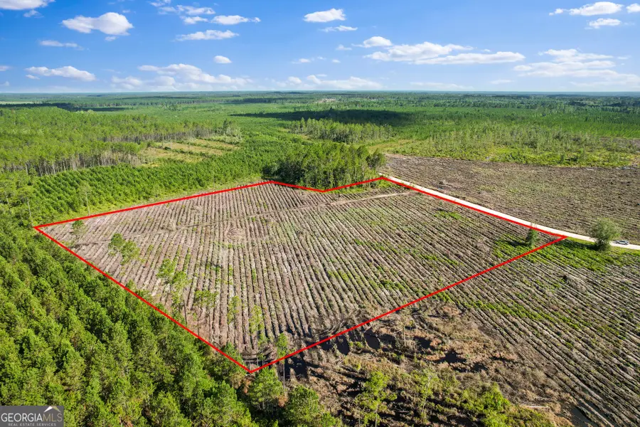 TRACT 4 Morris Break Road, Odum, GA 31555 - Image #2