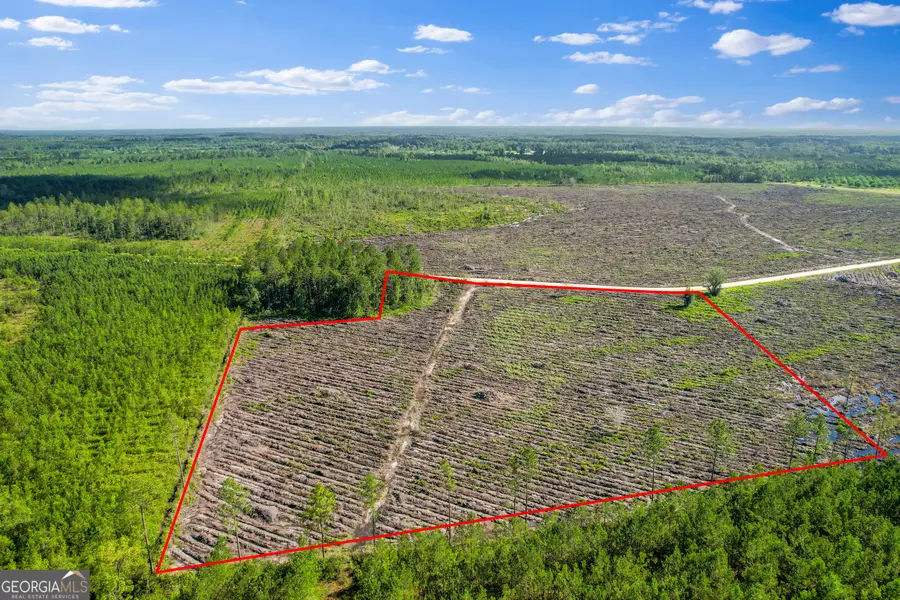 TRACT 4 Morris Break Road, Odum, GA 31555 - Image #3