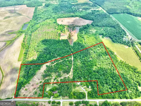 0 Mark Wood Road, Dexter, GA 31019