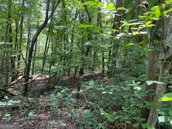 0 Lavender Trail, Rome, GA 30165