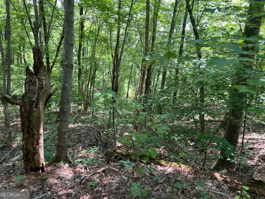 0 Lavender Trail, Rome, GA 30165 - Image #2