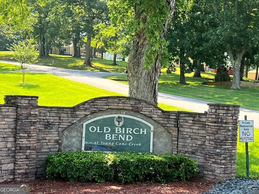 LOT 8 Old Birch Bend, Blairsville, GA 30512 - #2