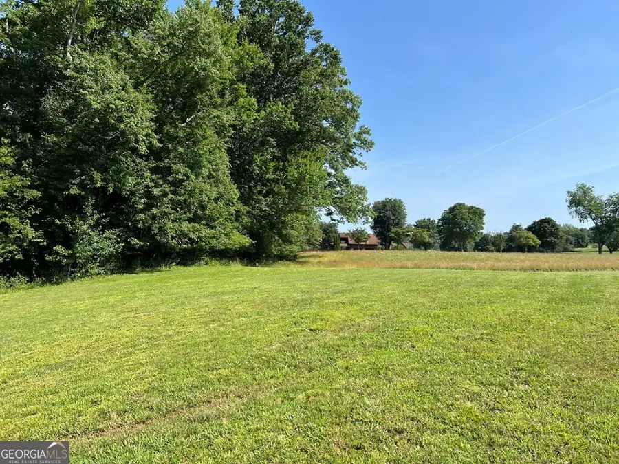 LOT 8 Old Birch Bend, Blairsville, GA 30512 - #3