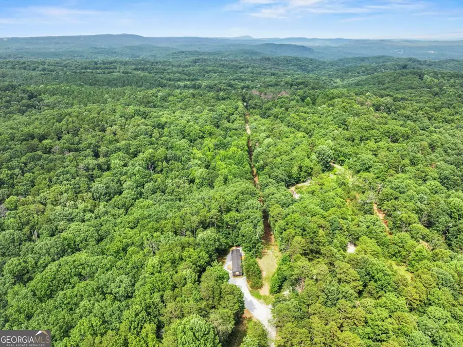 1458 Grant Mill Road, Alto, GA 30510 - Image #3