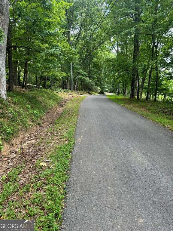 830 N Duffer Drive, Jasper, GA 30143 - Image #3