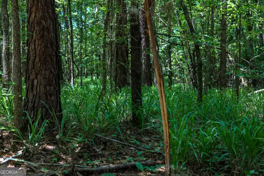 0 Pine Street, Edison, GA 39846 - Image #3