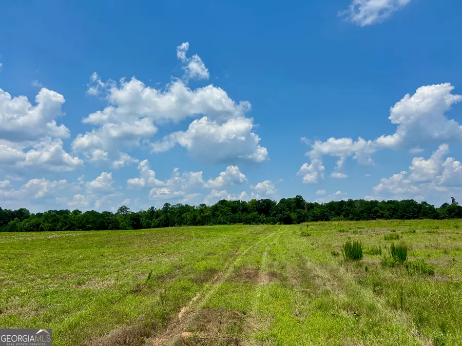 243 Hamil Road #13.18 AC, Griffin, GA 30223 - Image #3