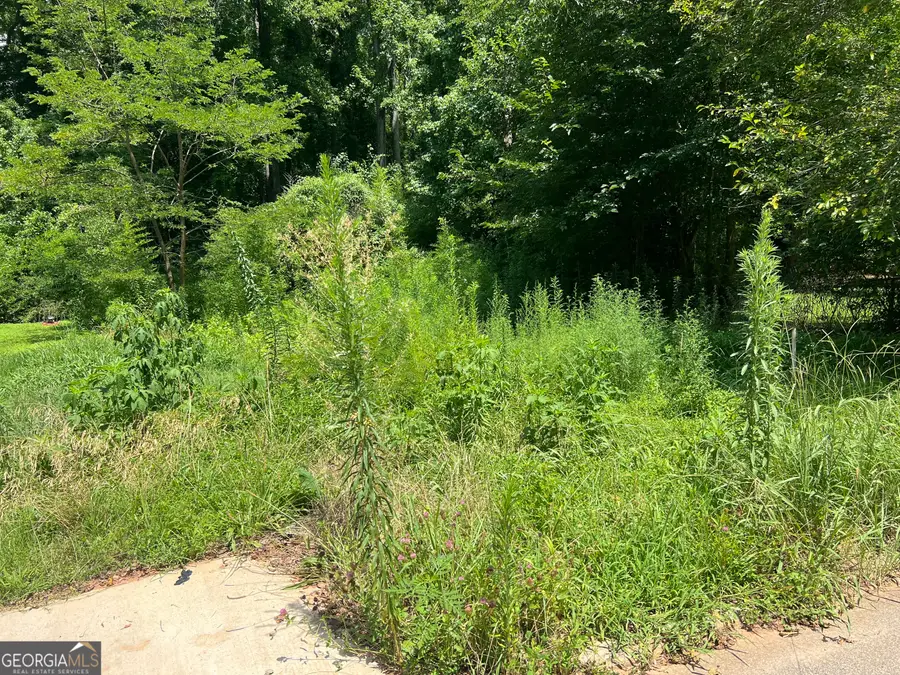 517 Belle Street, Griffin, GA 30223 - Image #2