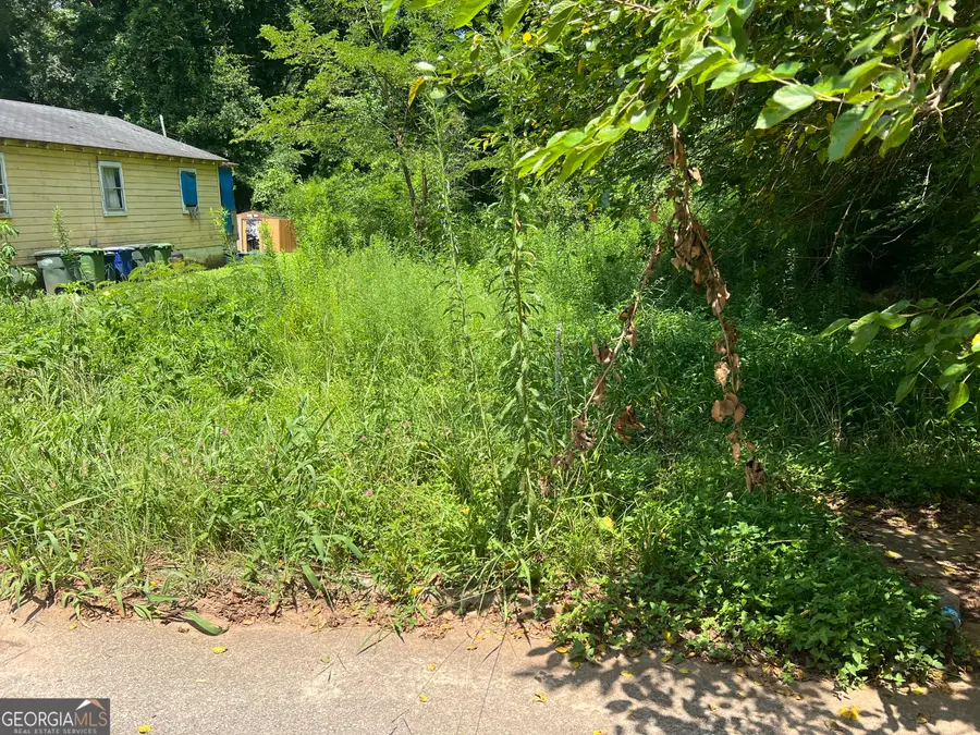 517 Belle Street, Griffin, GA 30223 - Image #3