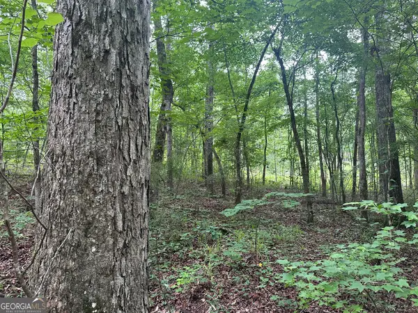 0 Waterview Drive, LaGrange, GA 30240