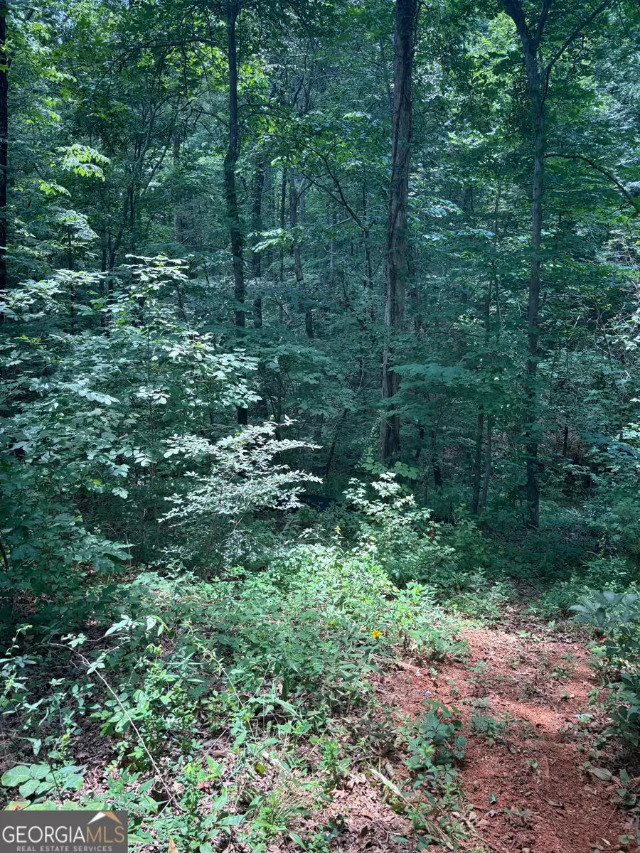 412 Emily Forest Way, Pendergrass, GA 30567 - Image #2