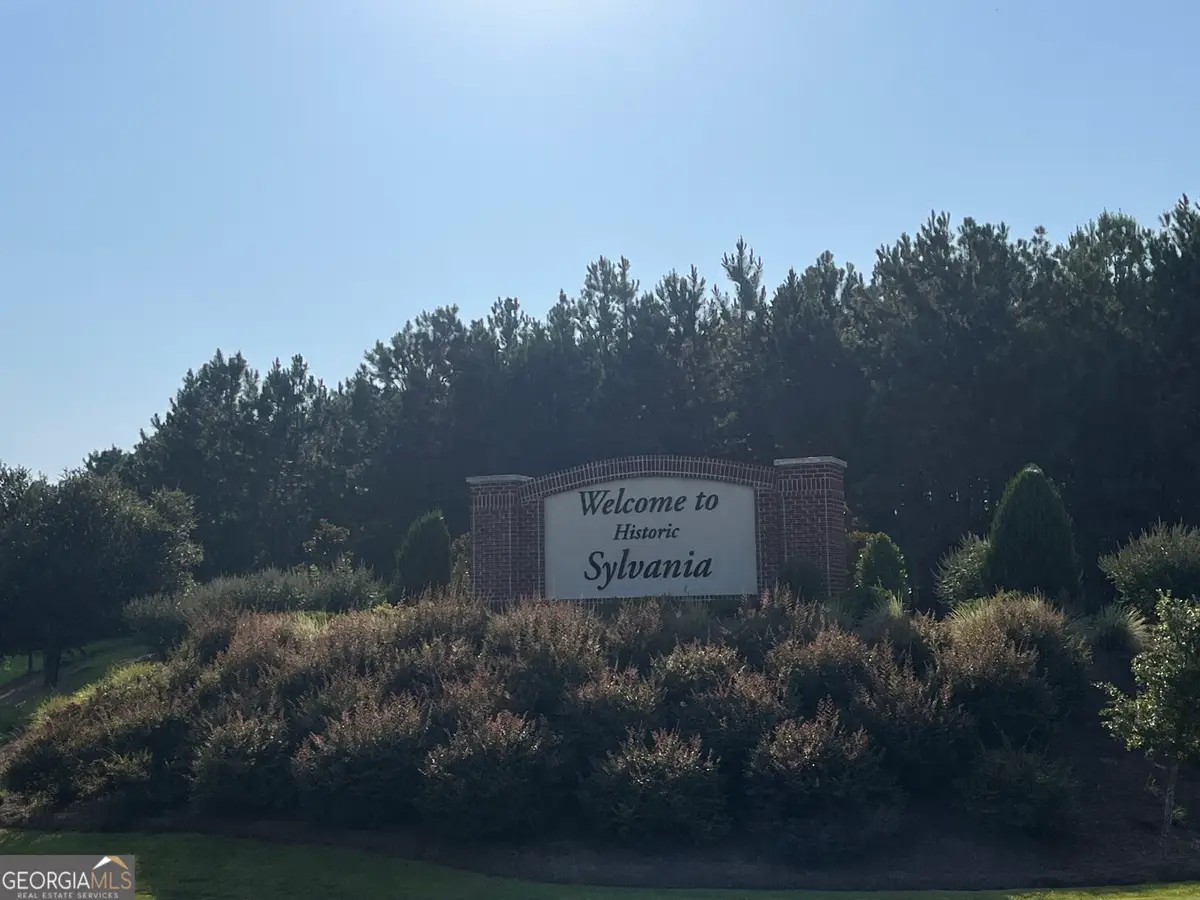 112 Cail Street, Sylvania, GA 30467 - Image #1