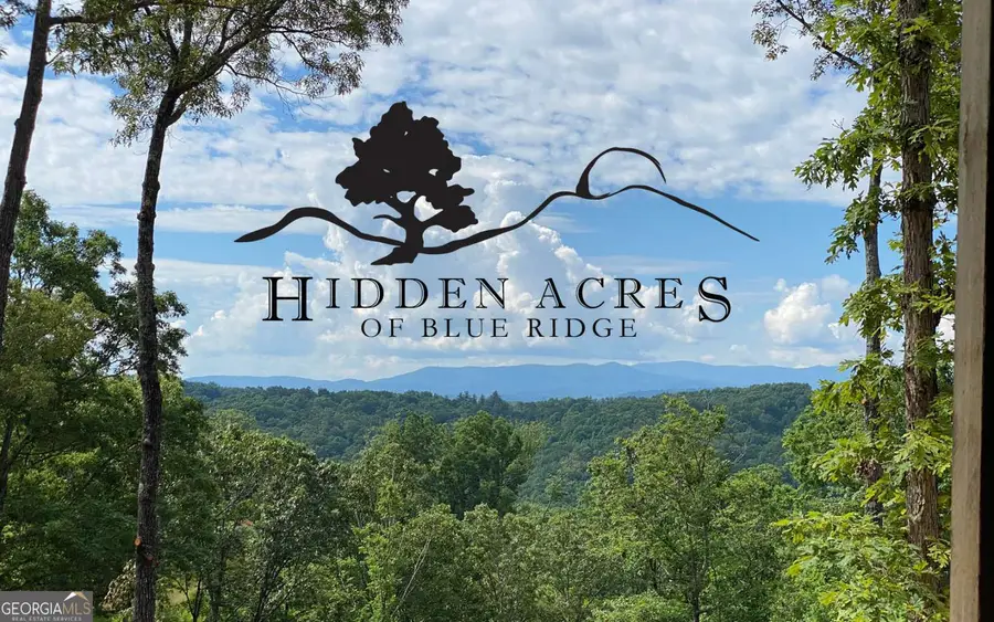 LT27,28B Haven Way, Blue Ridge, GA 30513 - #2