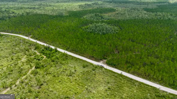 0 Fire Tower Road, Manor, GA 31550