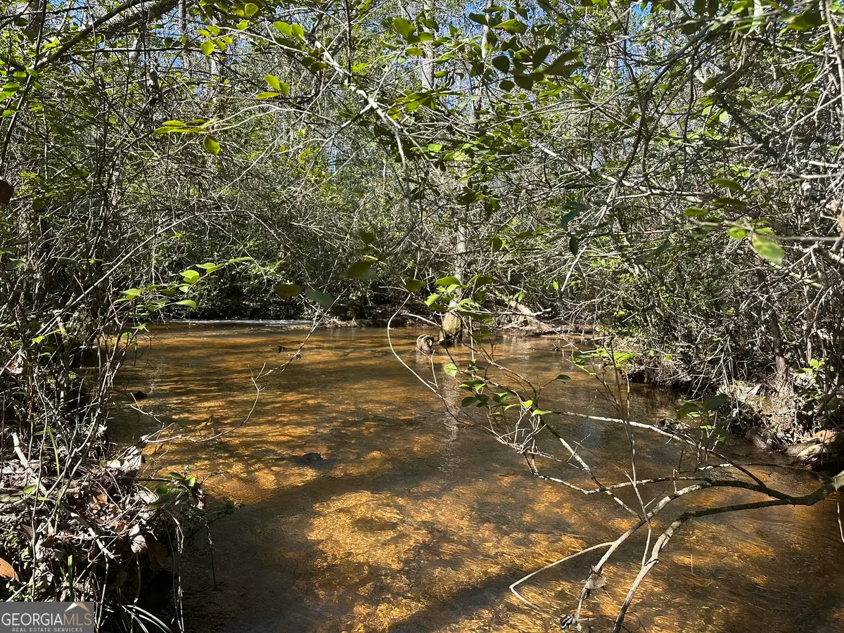 0 Mt Sinai Church Road, Butler, GA 31006 - Image #1